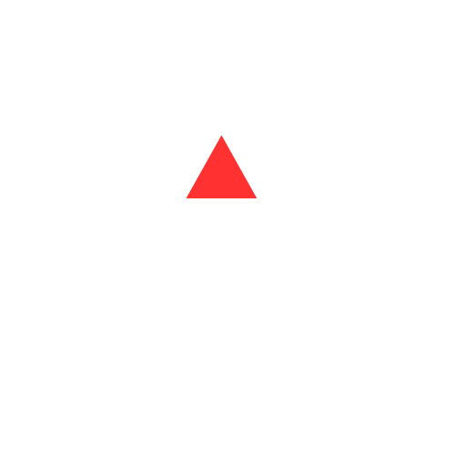 Cachaça Envelhecida em Barris: A Influência da Madeira no Sabor